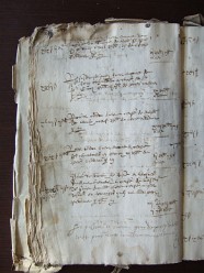 E 3564 (23)