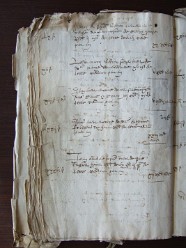 E 3564 (25)