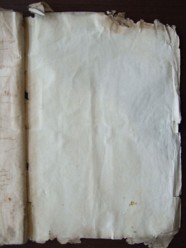 E 3564 (38)