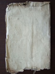 E 3564 (39)